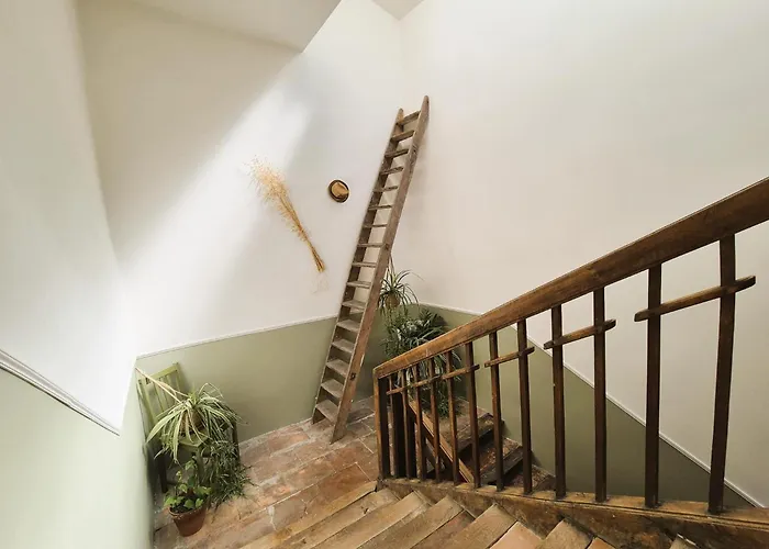 Maison De Maitre L Oustal Des Halles Avec Salle De Cinema, Billard & Jacuzzi 度假居 卡斯泰尔诺达里